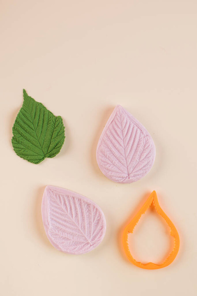 Green leaf of polymer clay press forms and cutter on beige background copy space - 写真・画像