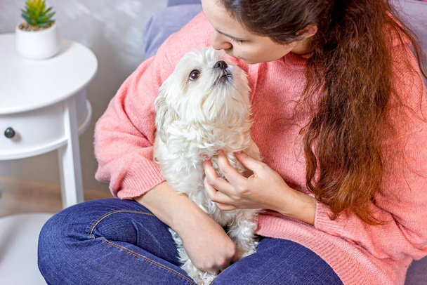White Caucasian brunette woman sitting on the sofa and hugging and kissing her little adorable white maltese dog in the room. People and their pets friendship concept. - Foto, imagen