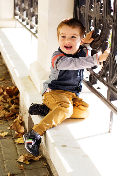 Маленький хлопчик в осінньому парку
 - Фото, зображення