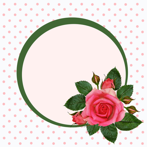 Rose flowers and frame - Foto, Imagem
