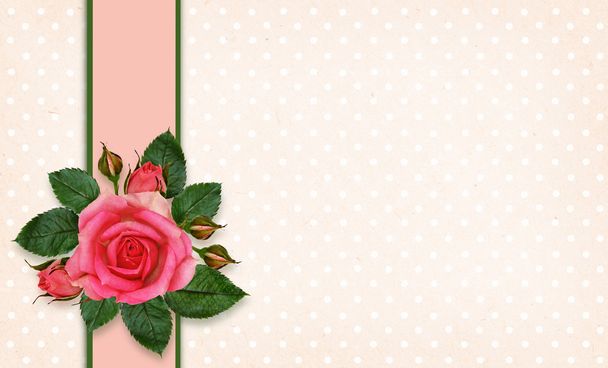Rose flowers and frame - Фото, изображение