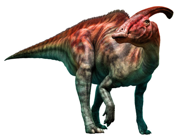 Parasaurolophus walkeri debout Illustration 3D - Photo, image