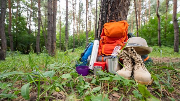 Hiking equipment in a pine forest. Backpack, thermos, sleeping bag, compass, hat and shoes - Photo, image