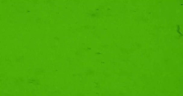 abstrakcyjna zmiana materiału w zielonym i szarym tle - Materiał filmowy, wideo