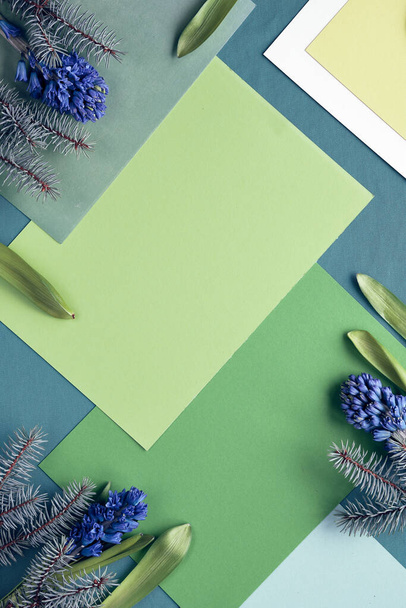 Green geometric paper background with blue hyacinth flowers on layered diagonal cardboard paper. Copy-space, place for text. Winter, early spring seasonal natural decorations. - Foto, Bild