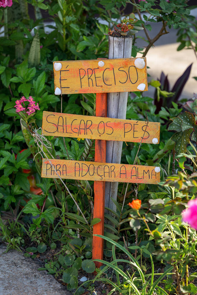 A vertical shot of wooden signs in the beautiful garden - Фото, зображення