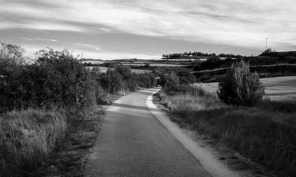 Schwarz-weiße Landschaft mit Straßen und Feldern. - Foto, Bild