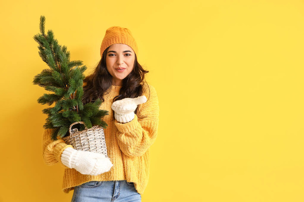 Mujer joven bonita en ropa de invierno y con árbol de Navidad sobre fondo de color - Foto, imagen