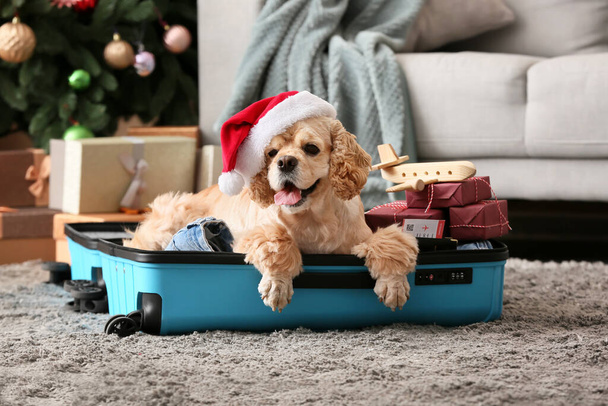 Uroczy pies z prezentami, paszportem i biletem leżącym w walizce w domu w Wigilię Bożego Narodzenia - Zdjęcie, obraz