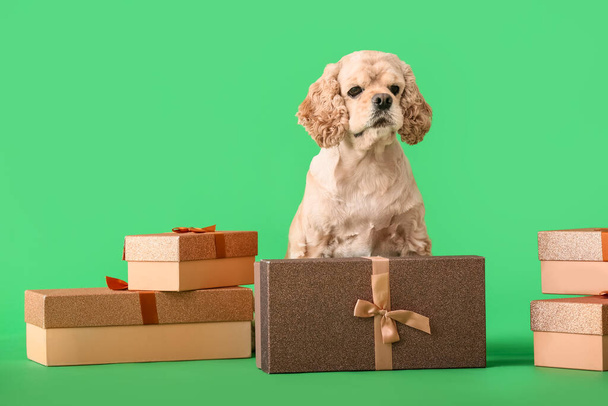 Adorable chien avec des cadeaux sur fond de couleur - Photo, image