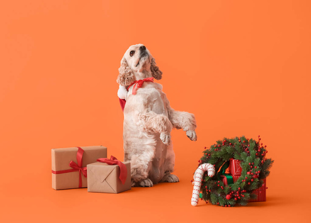 Adorable dog with Christmas gifts on color background - Photo, Image