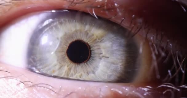 Зеленый мужской глаз подмигивает замедленному движению макрофильма 4k - Кадры, видео