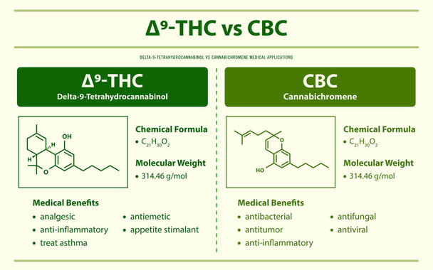 9 THC vs CBC, Delta 9 Tetrahidrocanabinol vs Cannabichromene ilustração infográfica horizontal sobre cannabis como fitoterapia alternativa e terapia química, saúde e vetor de ciência médica. - Vetor, Imagem