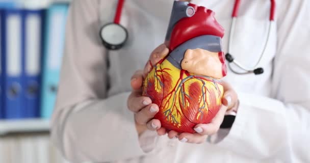 Doctor holding artificial model of human heart 4k film slow motion - Záběry, video