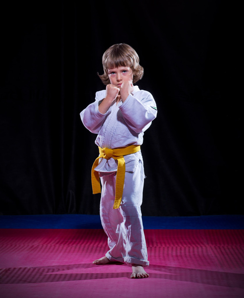 Little boy aikido fighter - Fotoğraf, Görsel