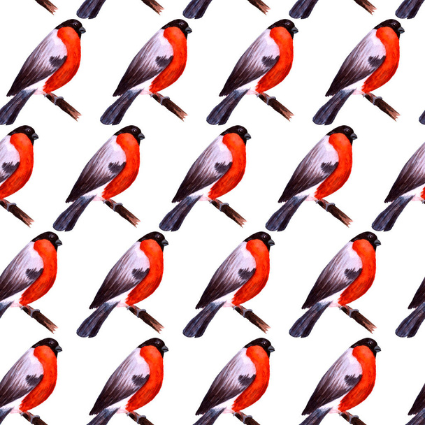 Watercolor seamless pattern with bullfinch birds on twigs - Photo, Image