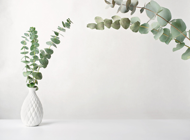 Primavera eucaliptus ramos verdes em vaso branco. mockup para colocação de produtos ou incrição motivadora. leve e arejado mock up. design de estilo nórdico escandinavo mínimo - Foto, Imagem