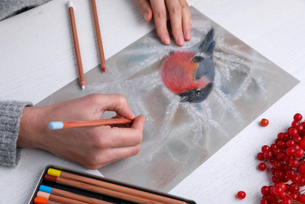 Woman drawing beautiful bullfinch on snowy branch with pastel pencil at white wooden table, closeup - 写真・画像