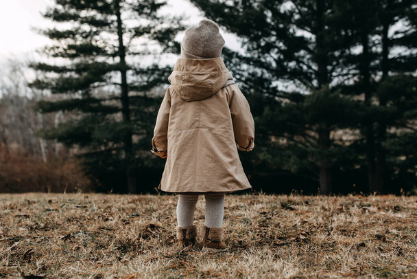 Маленькая девочка, гуляющая одна в лесу в осенний день. - Фото, изображение