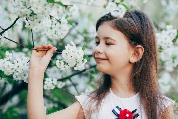 little girl at apple tree flowers - Fotoğraf, Görsel