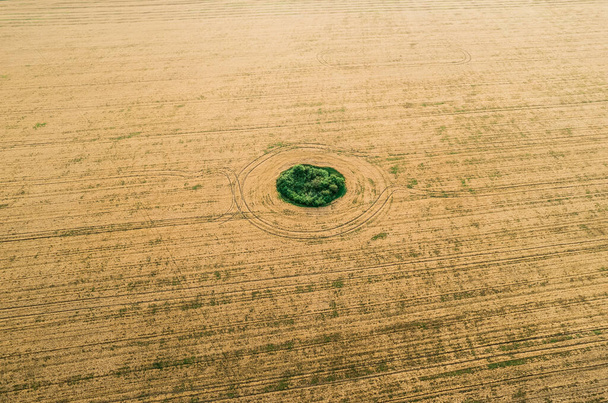 Fly over the field after harvest. An even circle of untouched vegetation in the middle of a cultivated field. Geometry and shapes in nature - Fotoğraf, Görsel