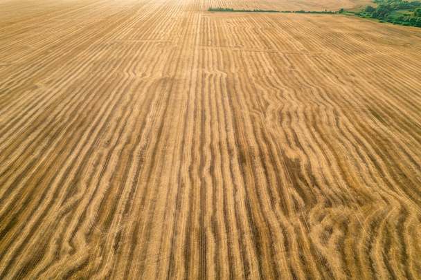 View from above field after harvest. Incredible landscapes and textures. The dug-up strips left by the combines form geometric lines stretching parallel to each other to the horizon - Foto, immagini