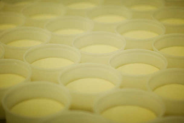 CHEESE AND MILK FACTORY. High quality photo - Photo, Image