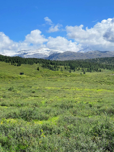 Kilátás a zöld alacsony hegyek és a magas hófödte csúcsok Altai, Oroszország - Fotó, kép