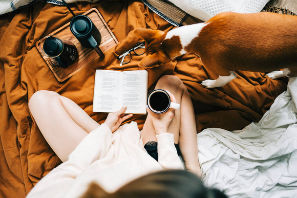 Caucasian woman drinking coffee in the morning and reading book on the bed at home with her pet, coziness and comfort concept. - 写真・画像