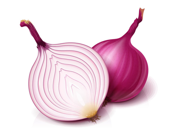 Red whole and half of onion. Useful vegetable. Vector. - Vektör, Görsel