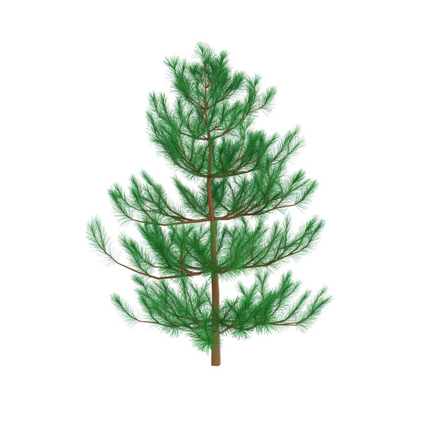 Árbol de Navidad verde realista, sin juguetes, aislado sobre fondo blanco. Representación 3D. Concepto de Año Nuevo. - Foto, imagen