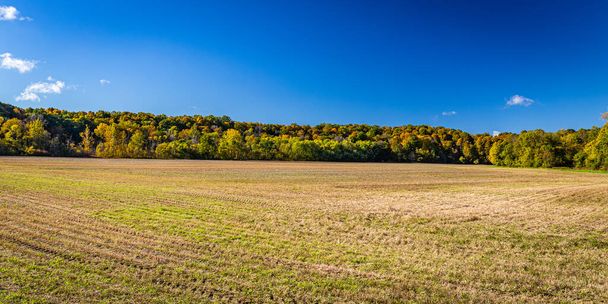 Herfst Kleurverandering in een landelijke omgeving in Parke County, Indiana. - Foto, afbeelding
