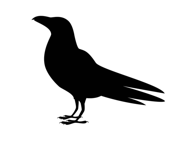 Standing raven bird black silhouette icon vector. Crow black silhouette vector isolated on a white background - Vector, Image