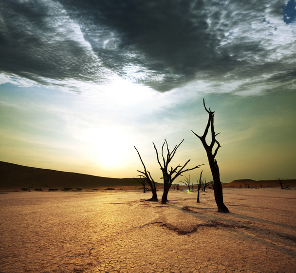 halott völgy, Namíbia - Fotó, kép