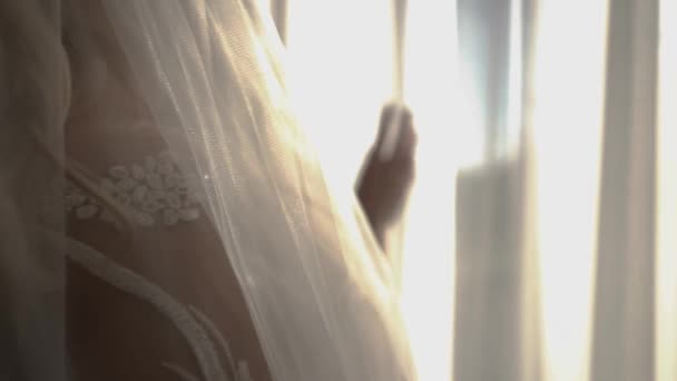 introducción de la boda para la película con corazones y patrón de encaje - Metraje, vídeo