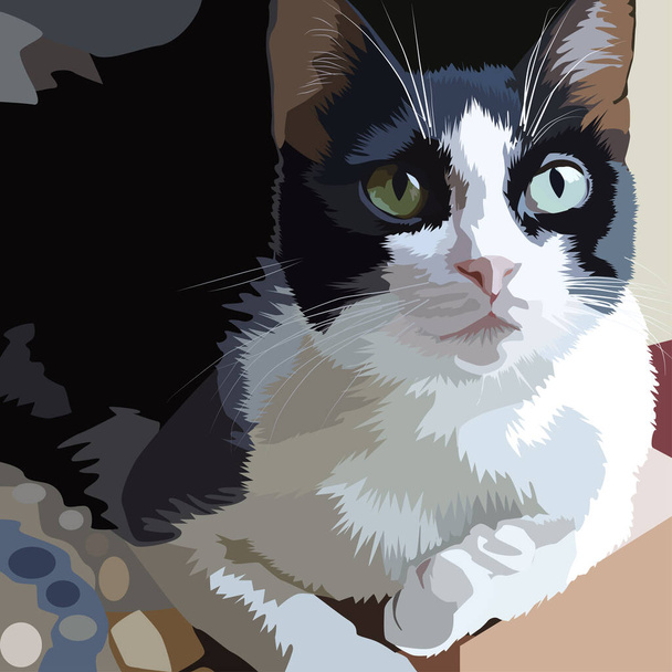 Obrázek černobílého kocoura. Kitty s černýma ušima a bílým knírem, bílýma tlapama. Kočka s očima. Malba s domácím mazlíčkem. - Vektor, obrázek