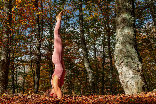 Латинська жінка, що практикує йогу, стоїть у вправах з салама-сирасані, позує на головній трибуні, працюючи в спортивному одязі в осінньому лісі
. - Фото, зображення