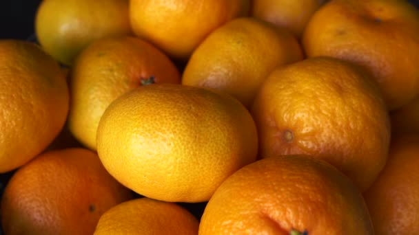 veel oranje mandarijnen close-up - Video