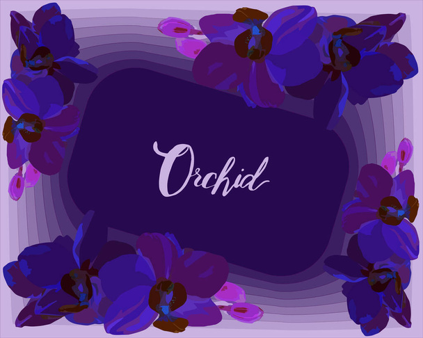 Flores de orquídea de color inusual sobre fondo abstracto. Flores de orquídea con el nombre de orquídea de flores. Orquídeas azules oscuras con brotes. - Vector, imagen