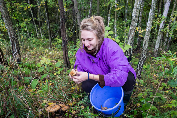 young girl picking mushrooms in the autumn forest - Foto, Imagen