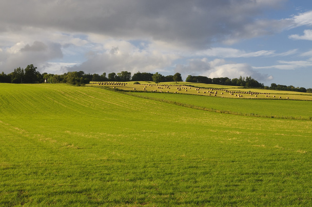 καλλιεργήσιμο έδαφος στη Σκωτία - Φωτογραφία, εικόνα