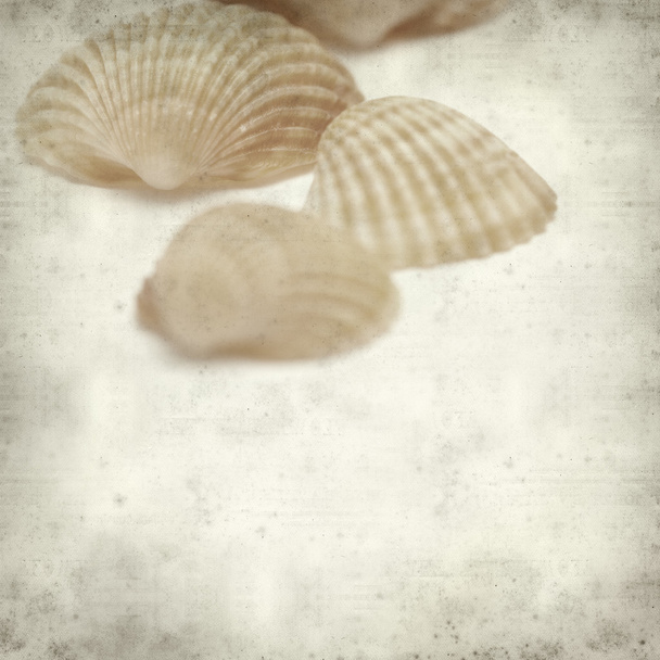 textured old paper background with  - Фото, изображение