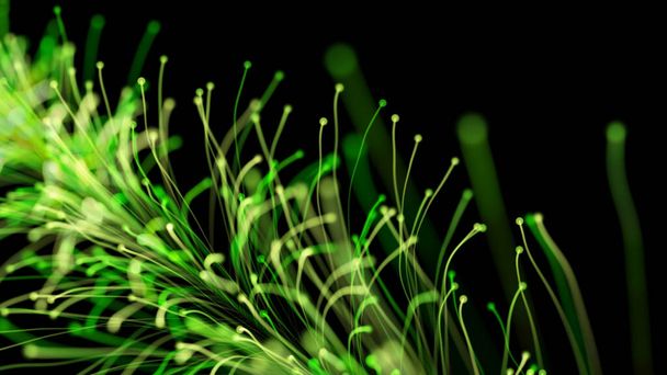 3D rendering of a stylish bright branch growing elegantly on a black background. Magical fabulous vegetation. The perfect background and element for any design - 写真・画像