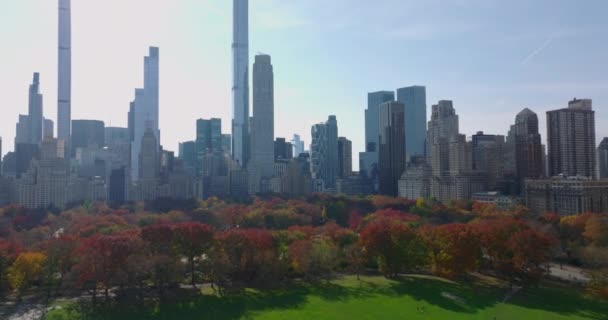 Trávníky a podzimní barevné stromy v Central Parku. Historické vysoké budovy a lesklé futuristické mrakodrapy ve městě kolem. Manhattan, New York City, USA - Záběry, video