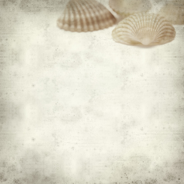 textured old paper background with  - Foto, Bild
