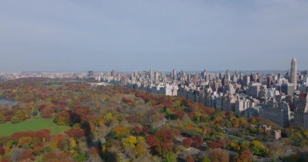 Letecké panoramatické záběry velkého parku s podzimními barevnými stromy a okolními budovami. Okolí Central Parku. Manhattan, New York City, USA - Záběry, video