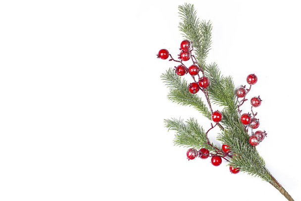 Belle brindille de Noël aux baies de houx, isolée - Photo, image