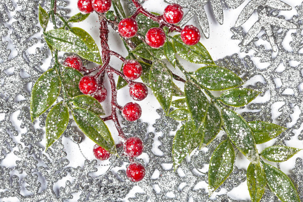 Twiter z jagodami ostrokrzewu na tle srebrnych płatków śniegu - Zdjęcie, obraz