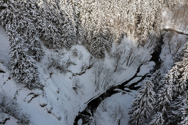 On a frosty sunny December day, spruce trees stand in the forest covered with white snow, wrapped in a blanket of winter.The frozen trees at the top of the mountain are covered with white snow. - Fotografie, Obrázek