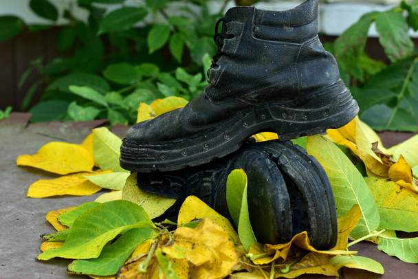 Yırtık eski ayakkabılar yeşil ve sarı yaprakların üzerinde. - Fotoğraf, Görsel